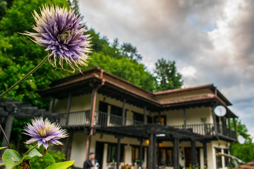Guest House Verbena 阿普里尔齐 外观 照片
