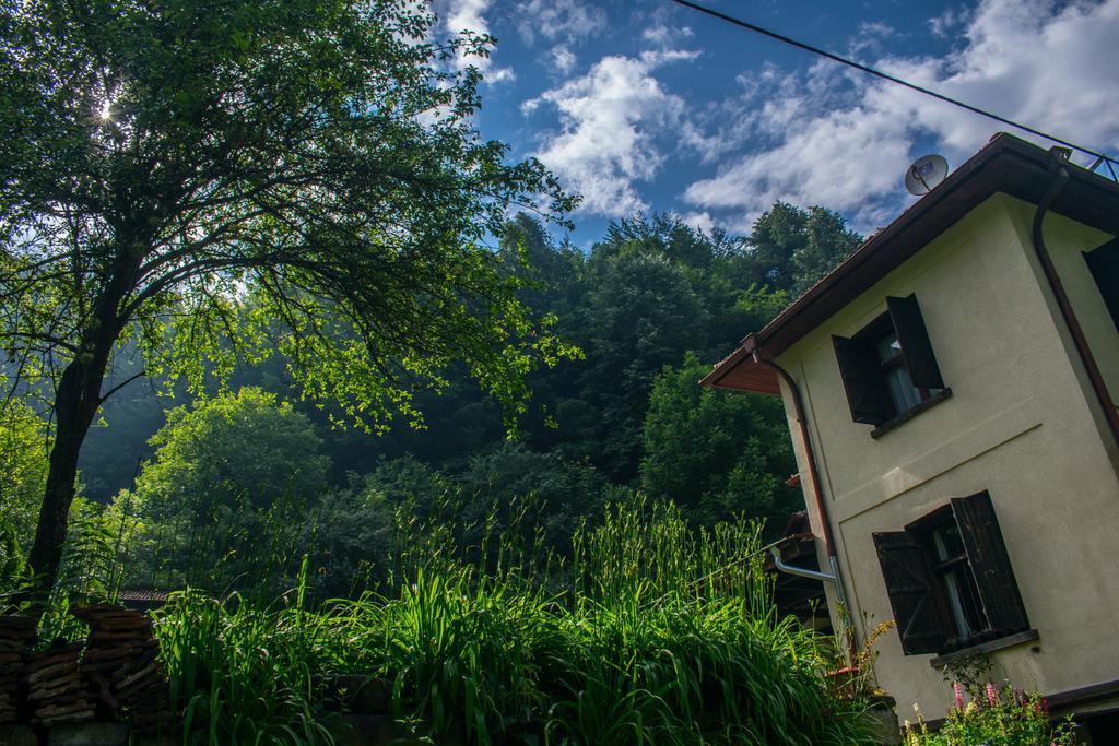 Guest House Verbena 阿普里尔齐 外观 照片